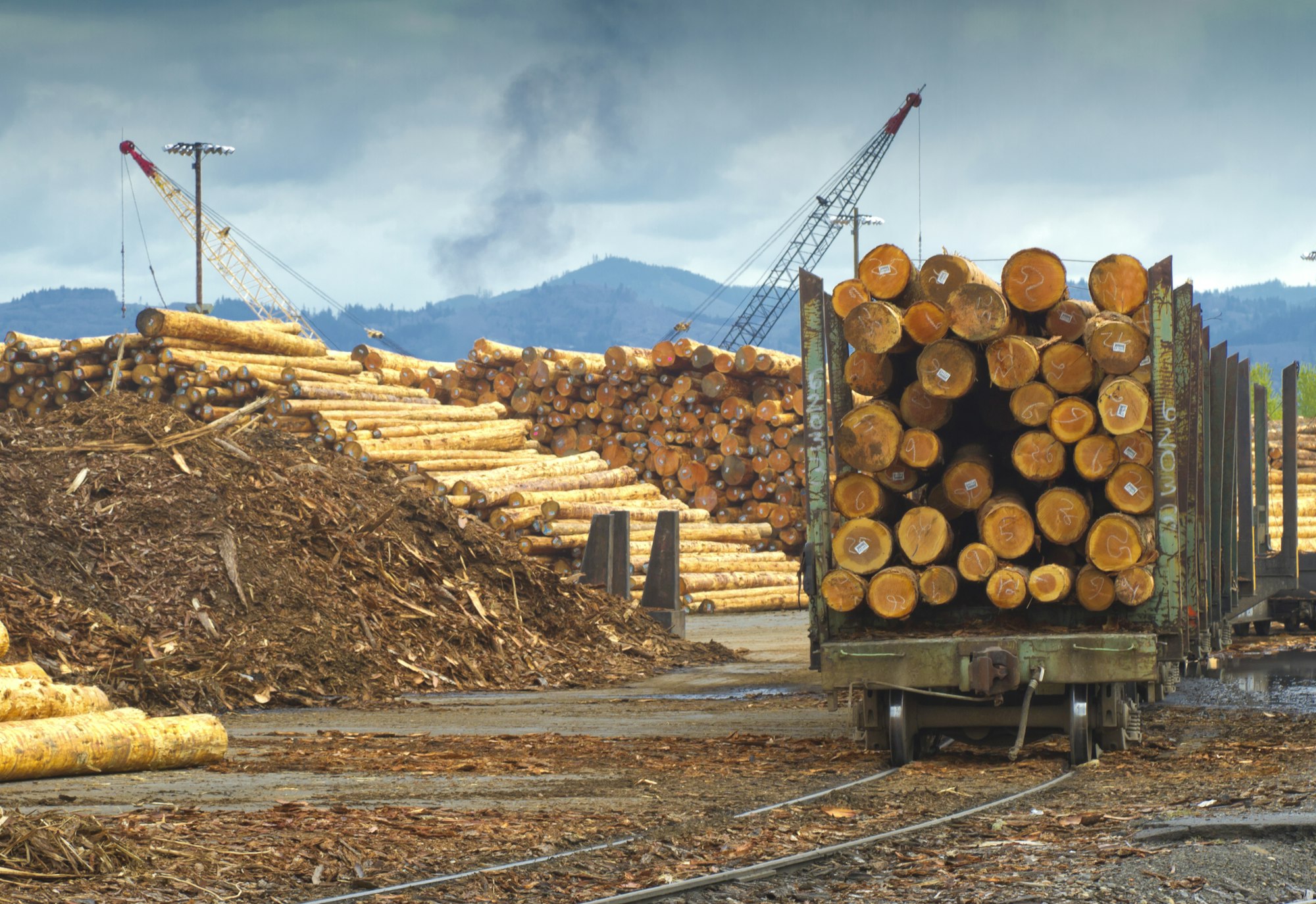 Logging Mill and Shipment